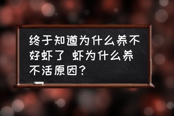 終于知道為什么養(yǎng)不好蝦了 蝦為什么養(yǎng)不活原因？