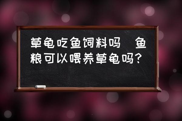 草龜吃魚飼料嗎(魚糧可以喂養(yǎng)草龜嗎？)