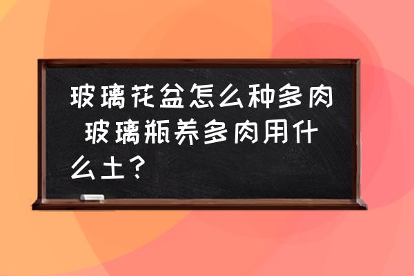 玻璃花盆怎么種多肉 玻璃瓶養(yǎng)多肉用什么土？