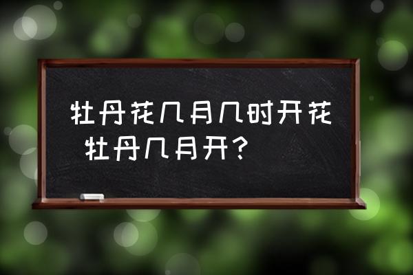 牡丹花幾月幾時開花 牡丹幾月開？