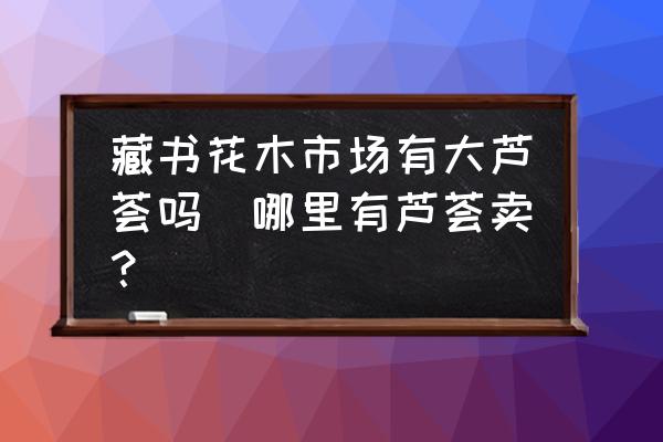藏書花木市場有大蘆薈嗎(哪里有蘆薈賣？)