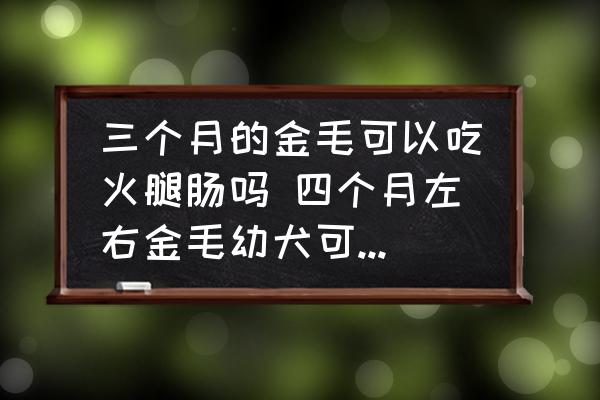 三個(gè)月的金毛可以吃火腿腸嗎 四個(gè)月左右金毛幼犬可不可以吃火腿腸？