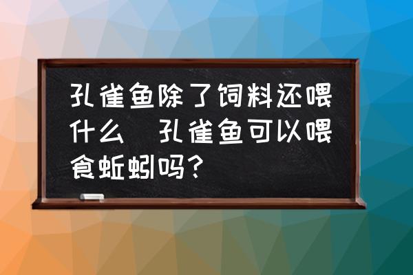 孔雀魚除了飼料還喂什么(孔雀魚可以喂食蚯蚓嗎？)