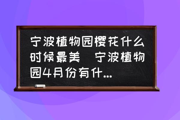 寧波植物園櫻花什么時候最美(寧波植物園4月份有什么花？)