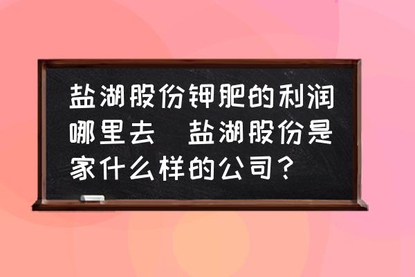 鹽湖股份鉀肥的利潤哪里去(鹽湖股份是家什么樣的公司？)