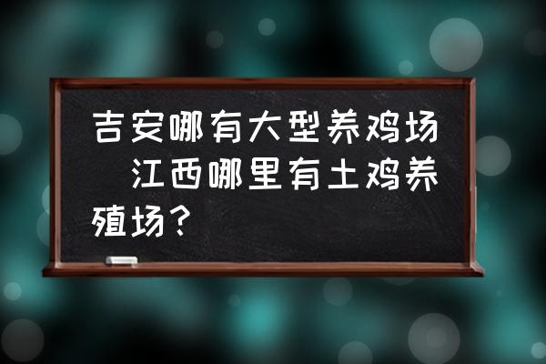 吉安哪有大型養(yǎng)雞場(江西哪里有土雞養(yǎng)殖場？)