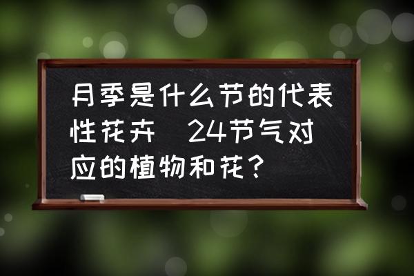 月季是什么節(jié)的代表性花卉(24節(jié)氣對應(yīng)的植物和花？)
