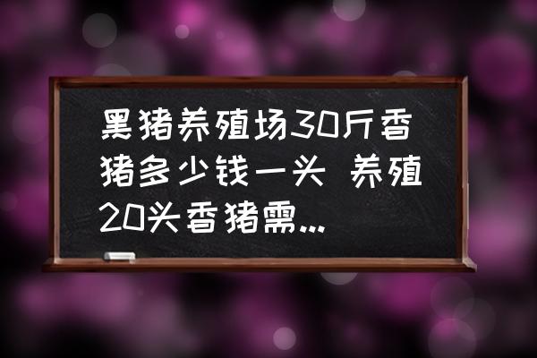 黑豬養(yǎng)殖場30斤香豬多少錢一頭 養(yǎng)殖20頭香豬需要多少錢？