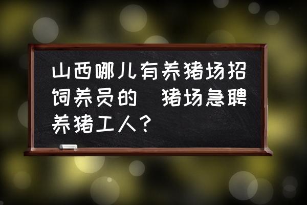 山西哪兒有養(yǎng)豬場招飼養(yǎng)員的(豬場急聘養(yǎng)豬工人？)