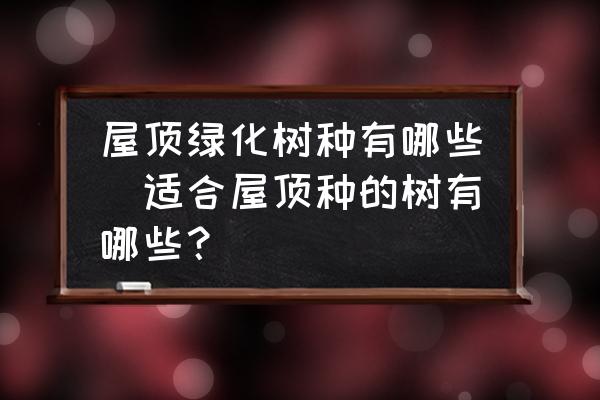 屋頂綠化樹種有哪些(適合屋頂種的樹有哪些？)