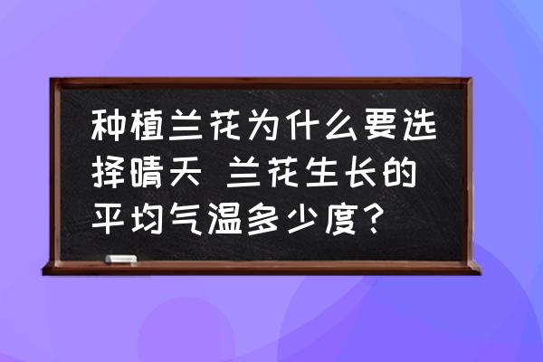 種植蘭花為什么要選擇晴天 蘭花生長的平均氣溫多少度？