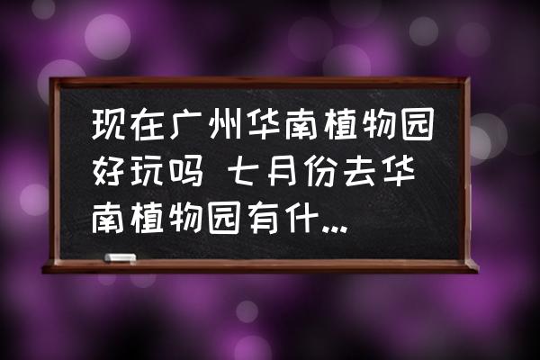 現在廣州華南植物園好玩嗎 七月份去華南植物園有什么好玩的？