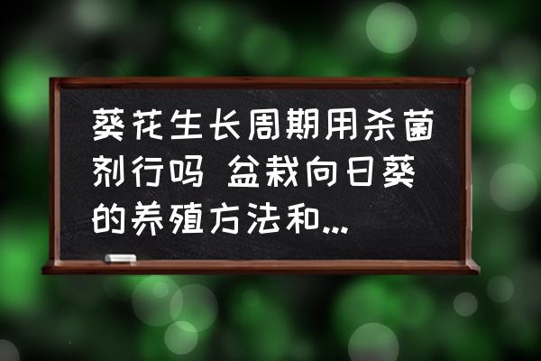 葵花生長周期用殺菌劑行嗎 盆栽向日葵的養(yǎng)殖方法和注意事項(xiàng)？