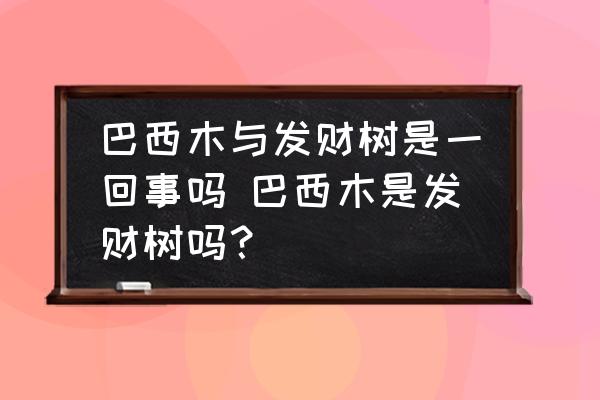 巴西木與發(fā)財樹是一回事嗎 巴西木是發(fā)財樹嗎？