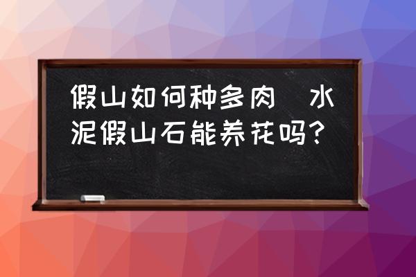 假山如何種多肉(水泥假山石能養(yǎng)花嗎？)