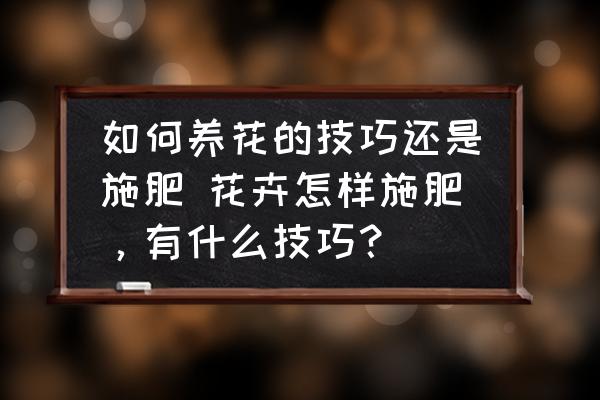 如何養(yǎng)花的技巧還是施肥 花卉怎樣施肥，有什么技巧？
