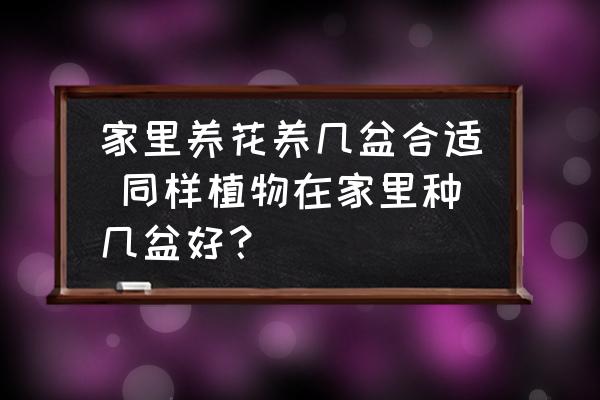 家里養(yǎng)花養(yǎng)幾盆合適 同樣植物在家里種幾盆好？