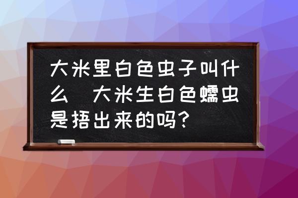 大米里白色蟲子叫什么(大米生白色蠕蟲是捂出來的嗎？)