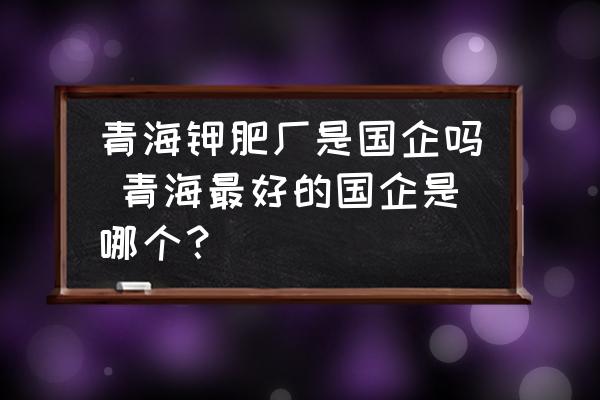 青海鉀肥廠是國企嗎 青海最好的國企是哪個？