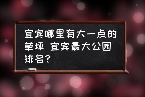宜賓哪里有大一點(diǎn)的草坪 宜賓最大公園排名？