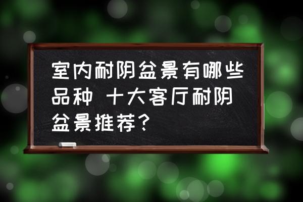 室內(nèi)耐陰盆景有哪些品種 十大客廳耐陰盆景推薦？