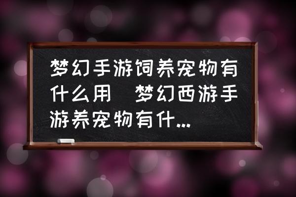 夢(mèng)幻手游飼養(yǎng)寵物有什么用(夢(mèng)幻西游手游養(yǎng)寵物有什么好處？)
