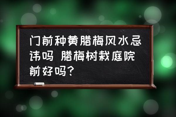 門(mén)前種黃臘梅風(fēng)水忌諱嗎 臘梅樹(shù)栽庭院前好嗎？