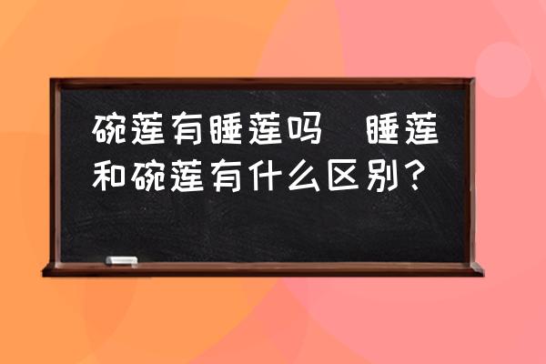 碗蓮有睡蓮嗎(睡蓮和碗蓮有什么區(qū)別？)