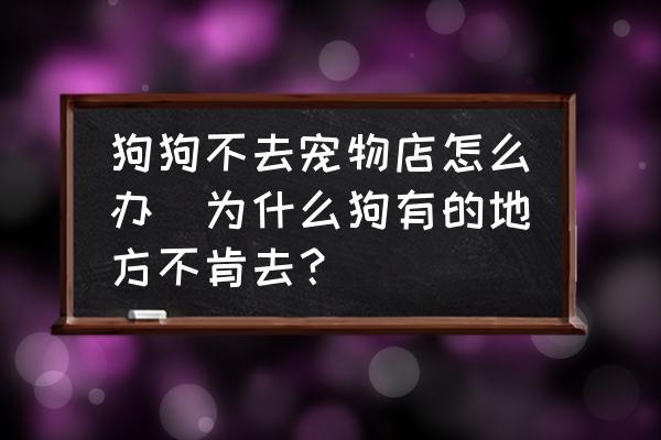 狗狗不去寵物店怎么辦(為什么狗有的地方不肯去？)