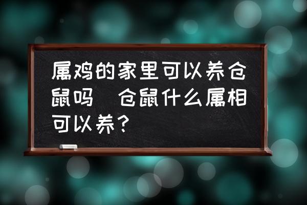 屬雞的家里可以養(yǎng)倉(cāng)鼠嗎(倉(cāng)鼠什么屬相可以養(yǎng)？)