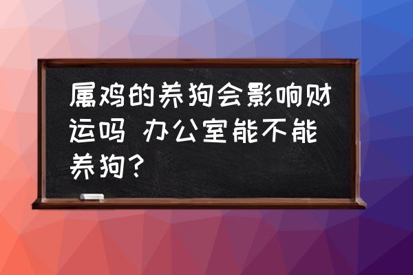 屬雞的養(yǎng)狗會影響財運嗎 辦公室能不能養(yǎng)狗？
