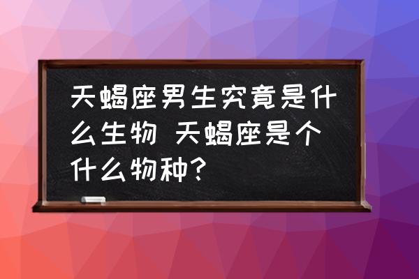天蝎座男生究竟是什么生物 天蝎座是個(gè)什么物種？