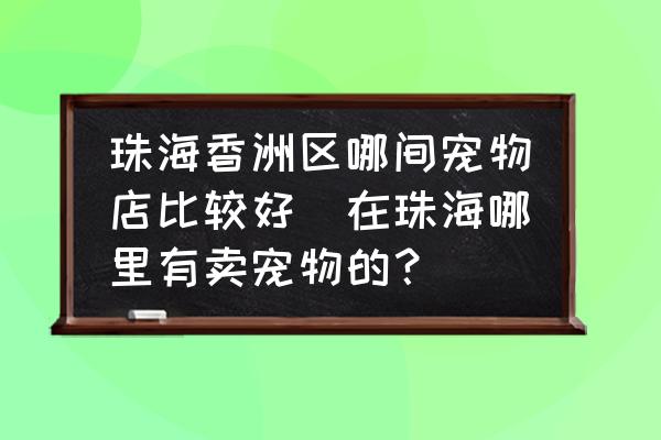 珠海香洲區(qū)哪間寵物店比較好(在珠海哪里有賣寵物的？)