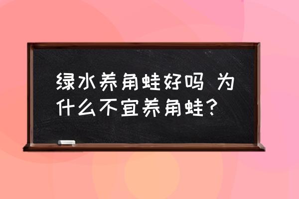 綠水養(yǎng)角蛙好嗎 為什么不宜養(yǎng)角蛙？