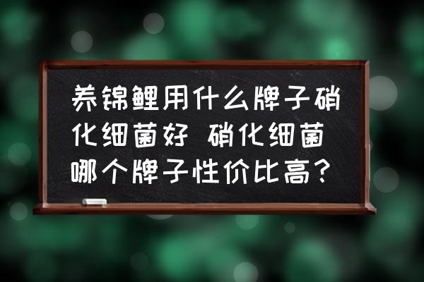 養(yǎng)錦鯉用什么牌子硝化細菌好 硝化細菌哪個牌子性價比高？