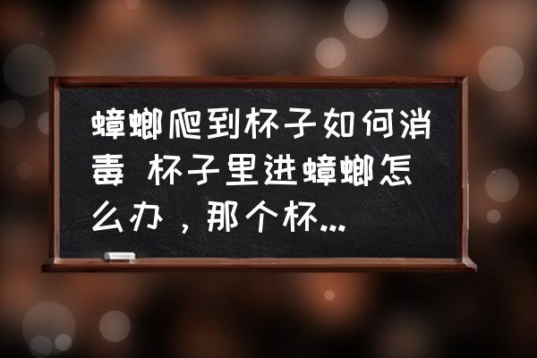 蟑螂爬到杯子如何消毒 杯子里進(jìn)蟑螂怎么辦，那個(gè)杯子還能用嗎？