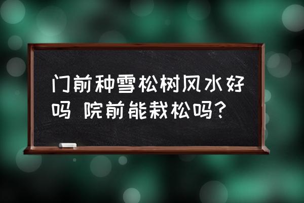 門(mén)前種雪松樹(shù)風(fēng)水好嗎 院前能栽松嗎？
