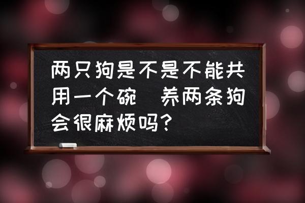 兩只狗是不是不能共用一個碗(養(yǎng)兩條狗會很麻煩嗎？)