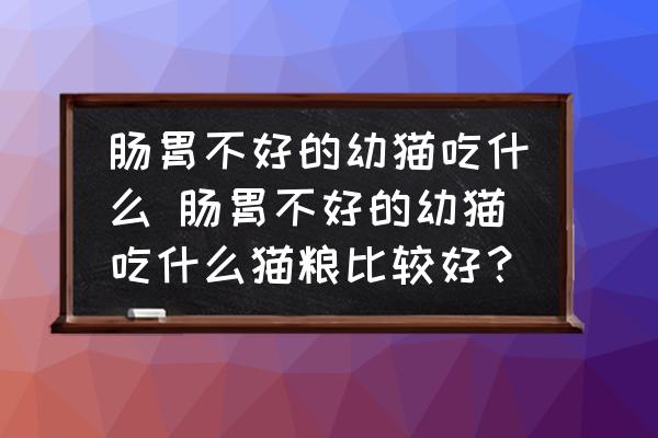 腸胃不好的幼貓吃什么 腸胃不好的幼貓吃什么貓糧比較好？