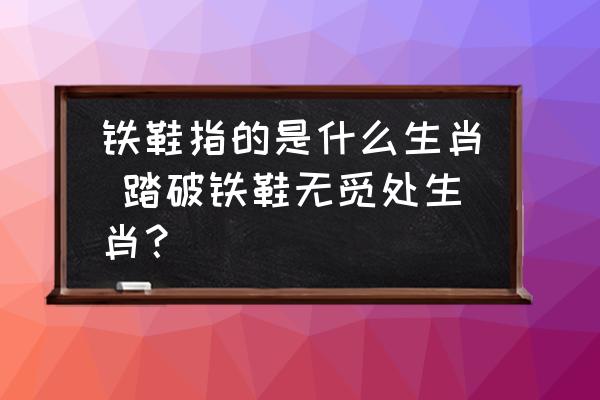 鐵鞋指的是什么生肖 踏破鐵鞋無覓處生肖？