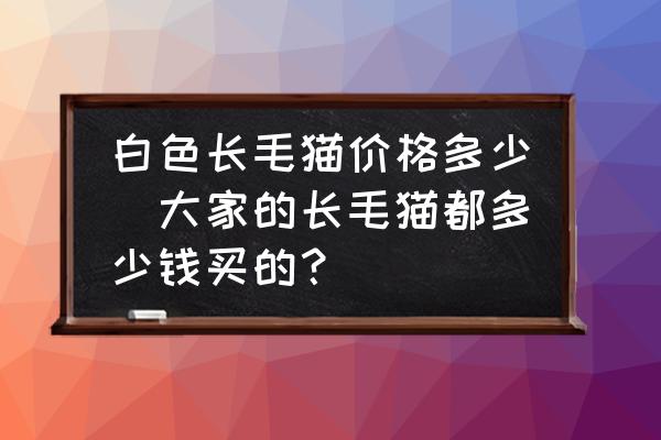 白色長毛貓價格多少(大家的長毛貓都多少錢買的？)