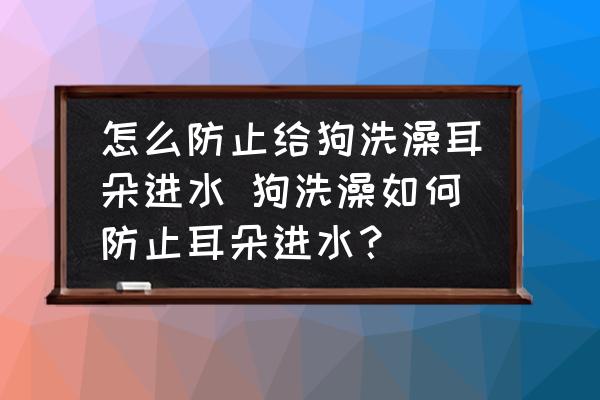 怎么防止給狗洗澡耳朵進水 狗洗澡如何防止耳朵進水？