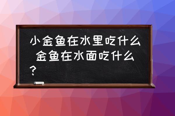 小金魚在水里吃什么 金魚在水面吃什么？