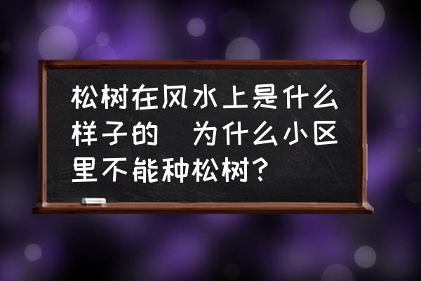 松樹在風(fēng)水上是什么樣子的(為什么小區(qū)里不能種松樹？)
