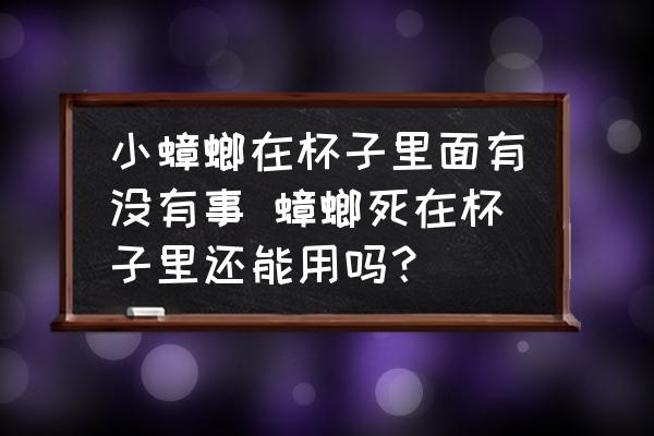 小蟑螂在杯子里面有沒有事 蟑螂死在杯子里還能用嗎？