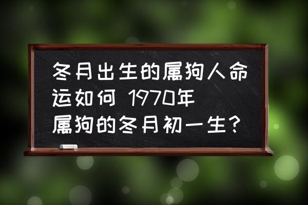 冬月出生的屬狗人命運如何 1970年屬狗的冬月初一生？