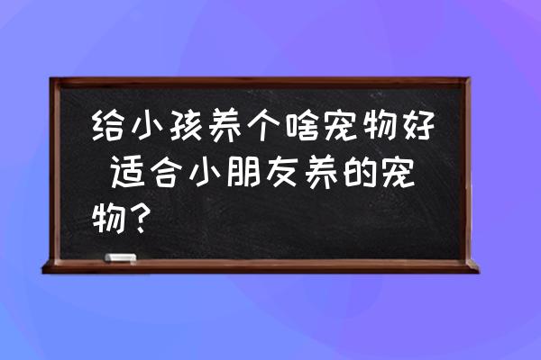 給小孩養(yǎng)個(gè)啥寵物好 適合小朋友養(yǎng)的寵物？