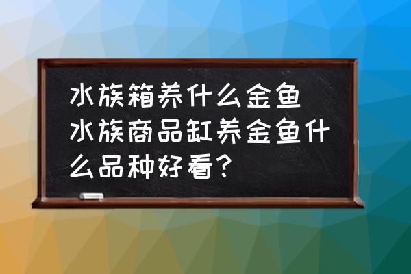 水族箱養(yǎng)什么金魚(水族商品缸養(yǎng)金魚什么品種好看？)