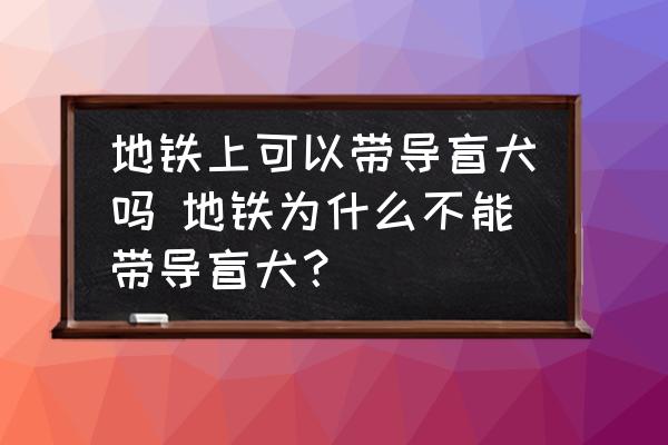 地鐵上可以帶導(dǎo)盲犬嗎 地鐵為什么不能帶導(dǎo)盲犬？