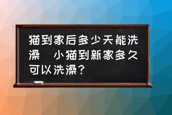 貓到家后多少天能洗澡(小貓到新家多久可以洗澡？)